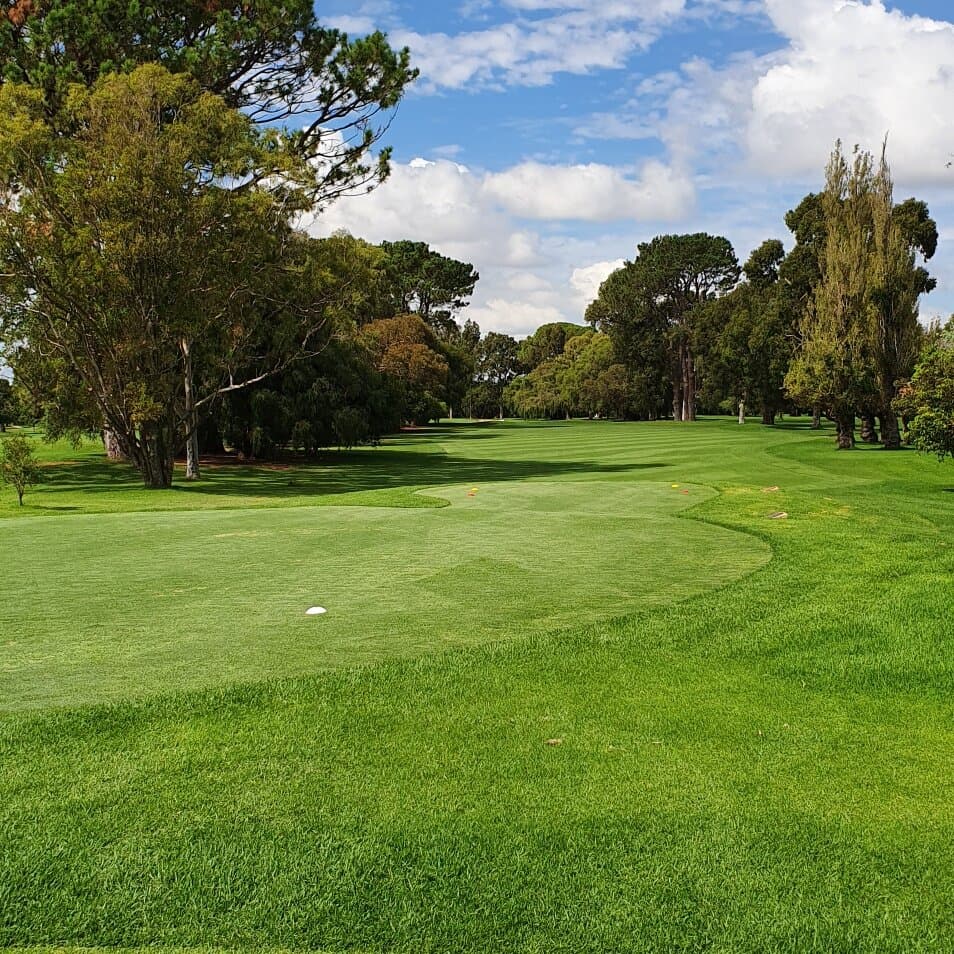 See review of Royal Perth Golf Club review by Xiem Hong 