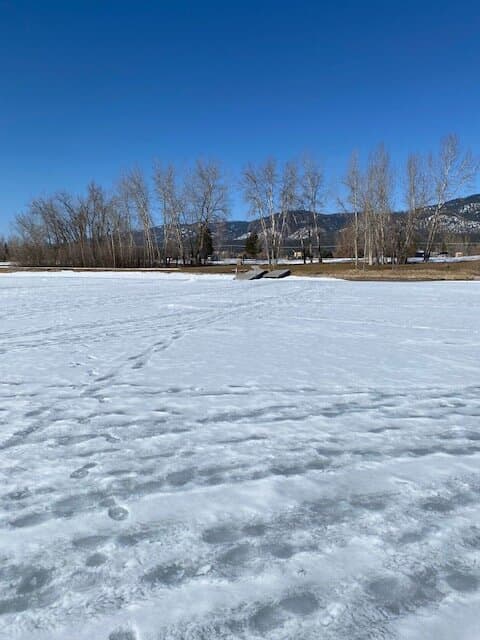 Heading to the pond 