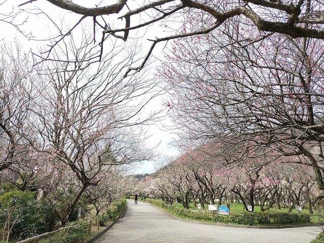 園内