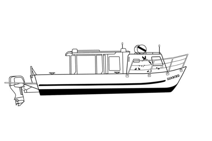 Gull Island Seabird Rookery