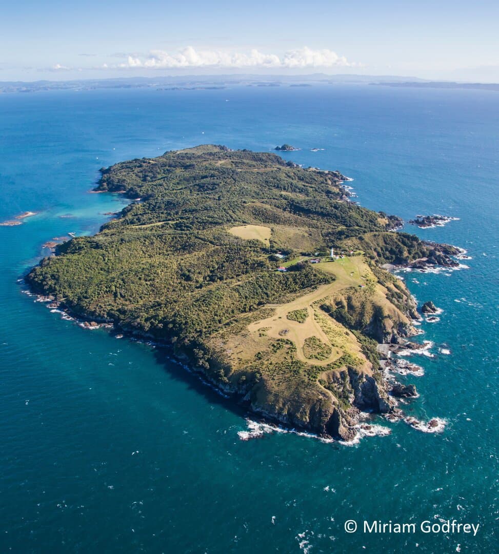 Our island