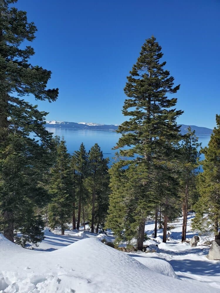 Stunning views from the trail overlooking Lake Tahoe