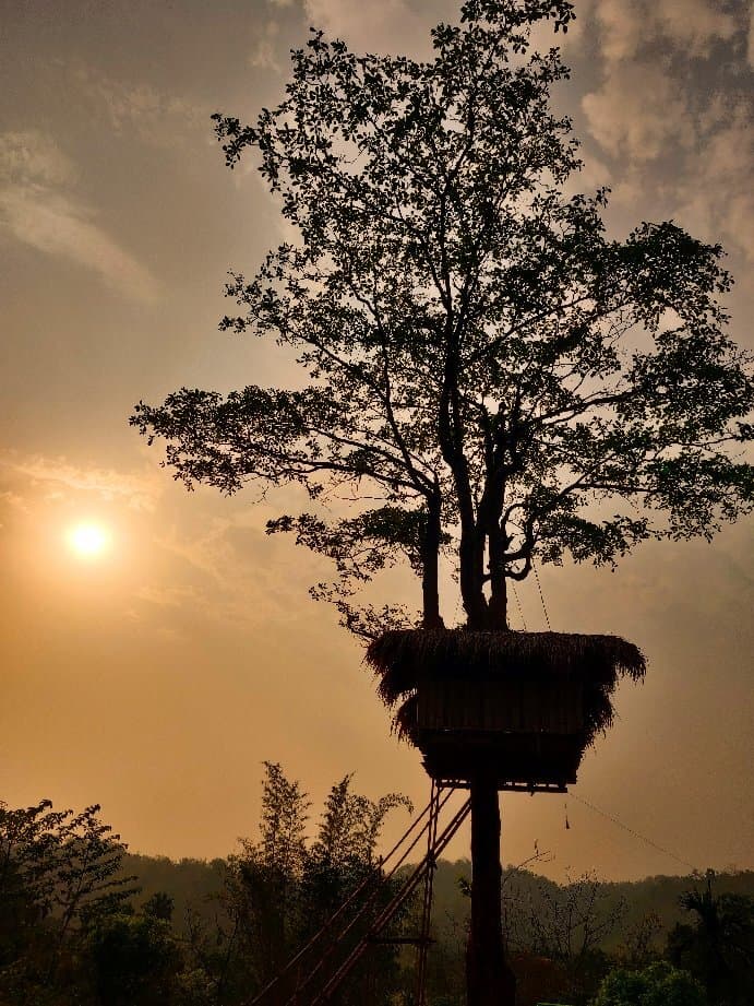 Pathak's Picnic Spot