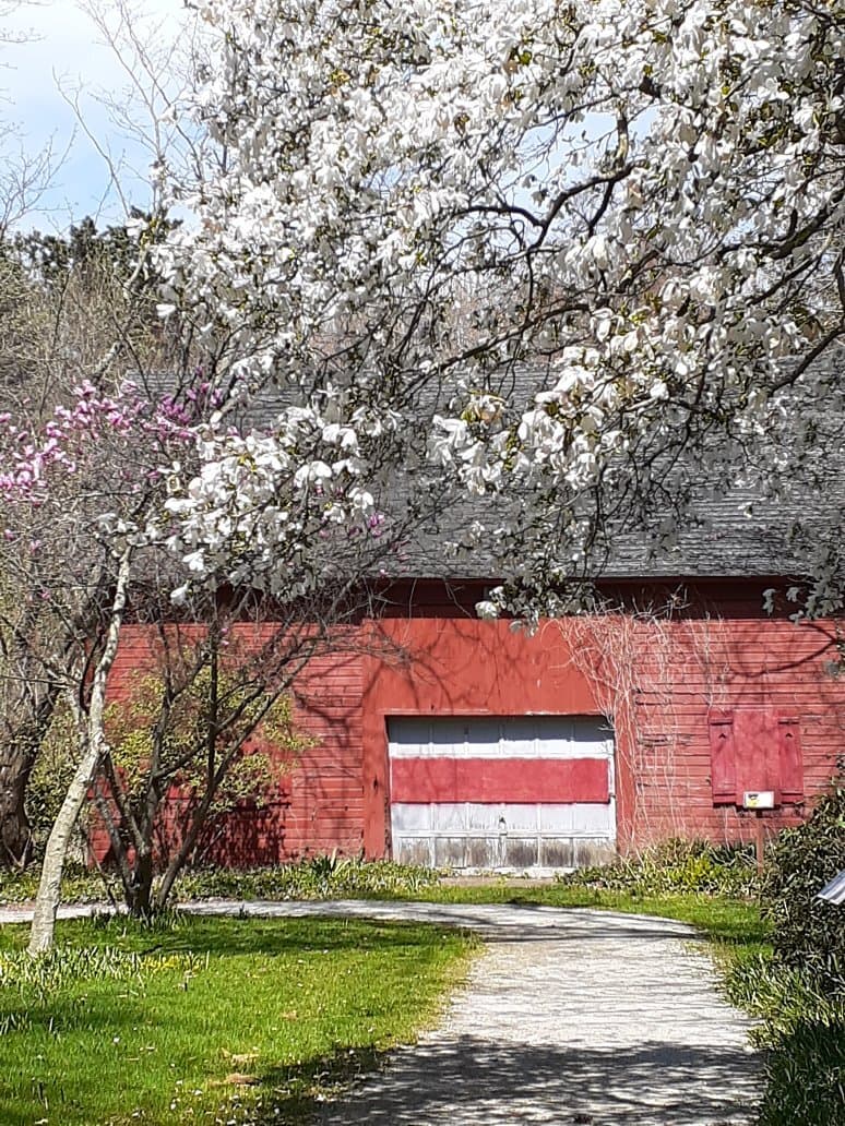 Brincka Cross Gardens