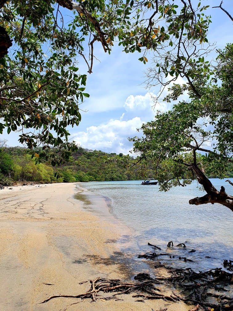 Playa Nacascolo