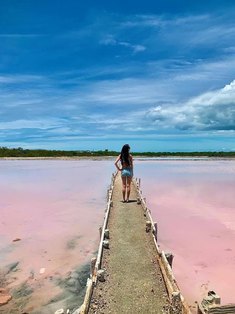 Las Salinas de Cabo Rojo