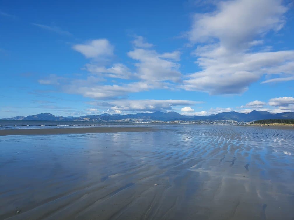 Rabbit Island Moturoa