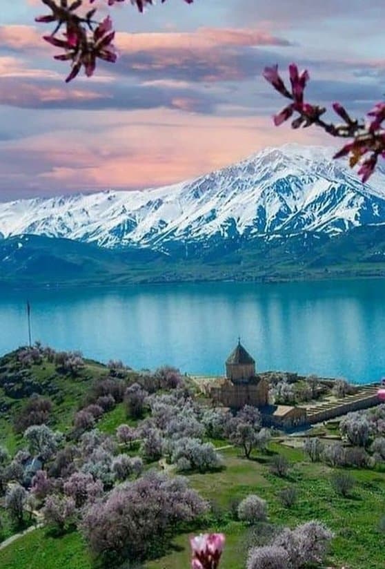 Van Kedisi Evi