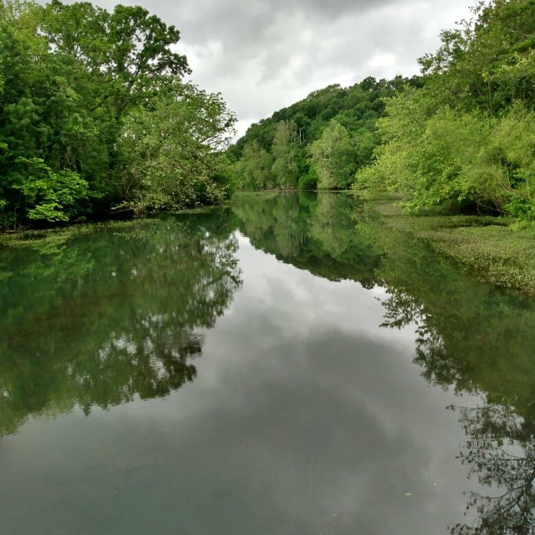 Springfield Nature Center