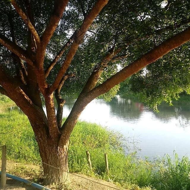 Parque da Lagoa Erivaldo Cerqueira Lagoa Grande