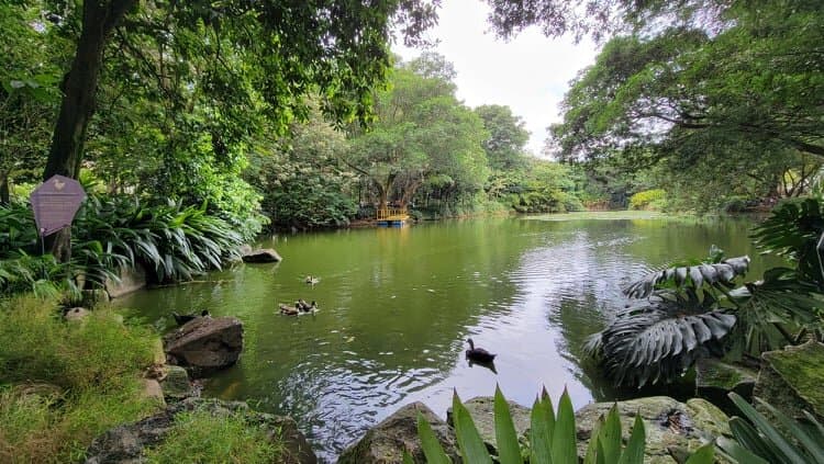 Jardín Botánico Caldes de Reis