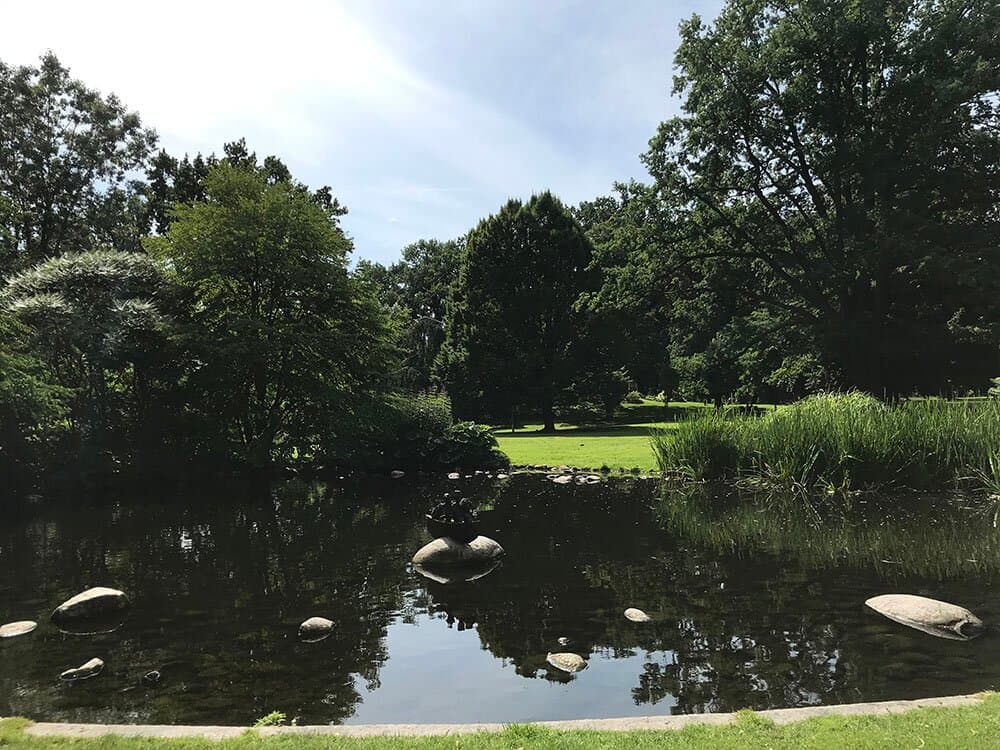 Liknar en engelsk park med stora träd, stora gräsmattor och blomsterplanteringar