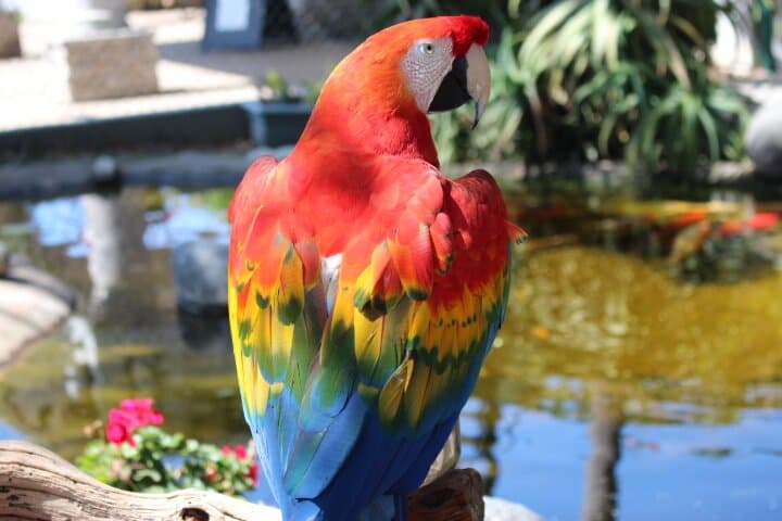 Majestic and photogenic.