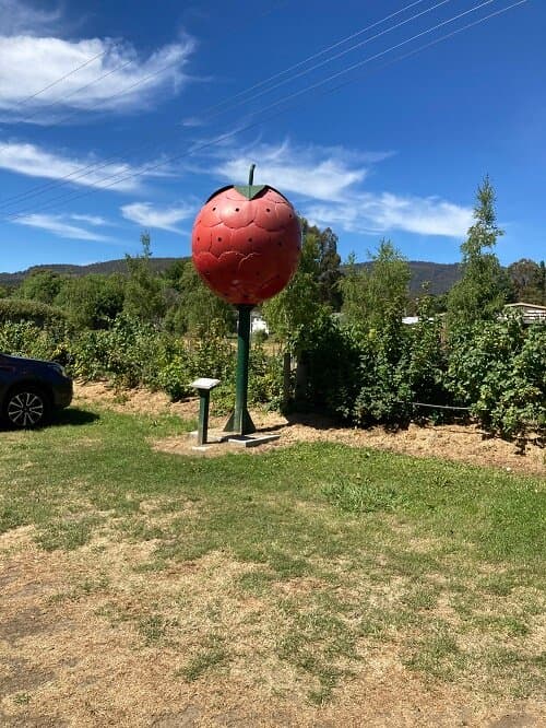The BIG Raspberry
