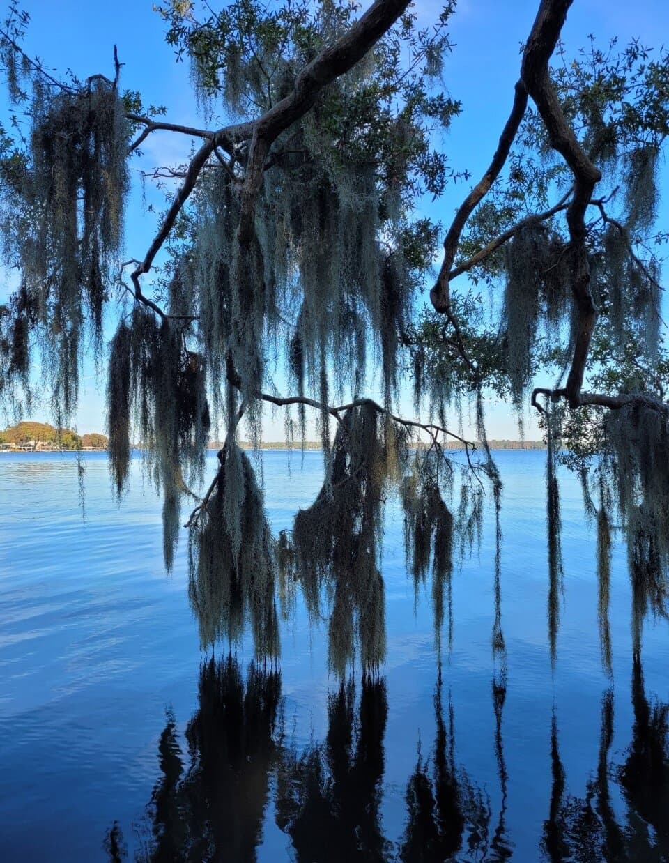 Anderson Park - along the edge of the lake.