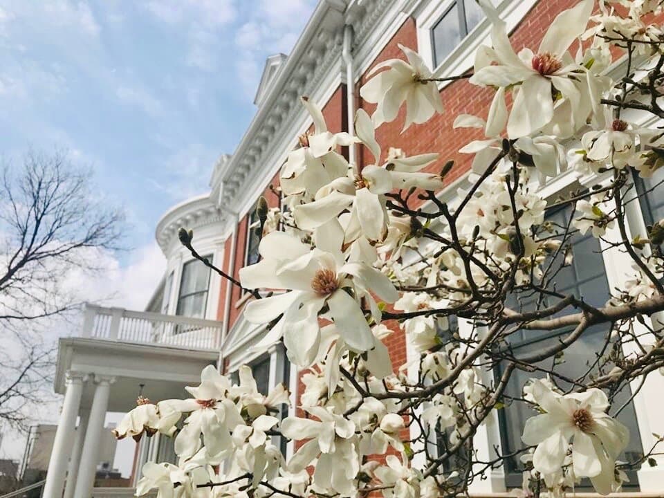 The History Center