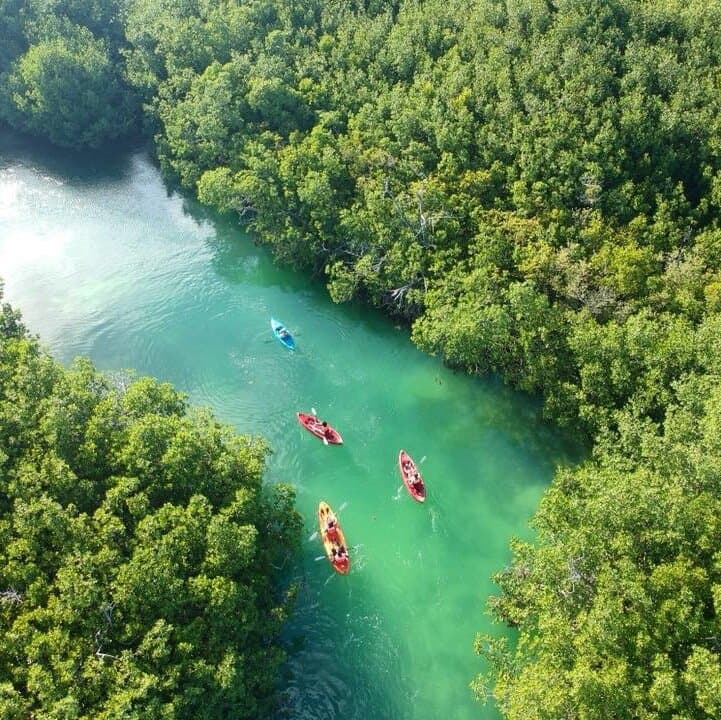 Kayaking Tour