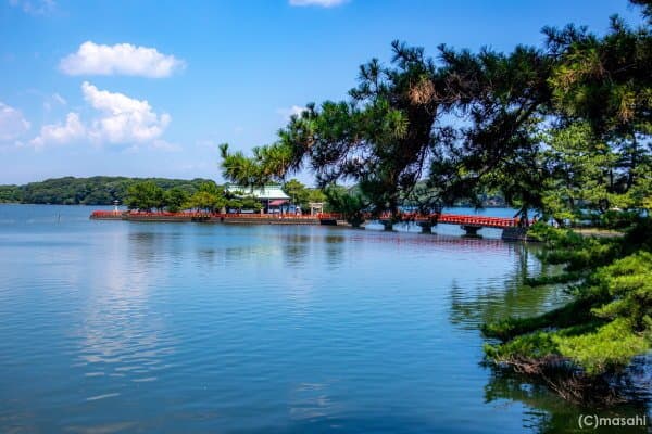 ときわ公園の雰囲気