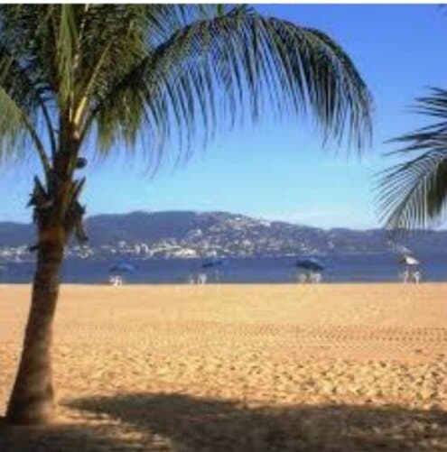 Playa Tamarindos