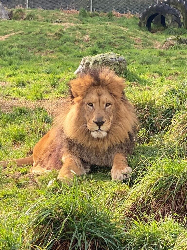 Paradise Valley Springs Wildlife Park