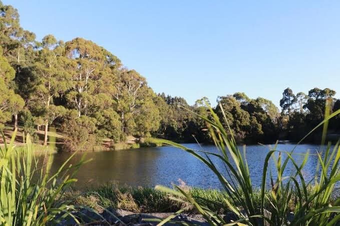 Romaine Reserve forms part of a walkway and boardwalk that circumnavigates Burnie and can also be used for cycling or relaxing.  It features a fitness track that winds around a dam on Romaine Creek containing domestic and wild fowl.