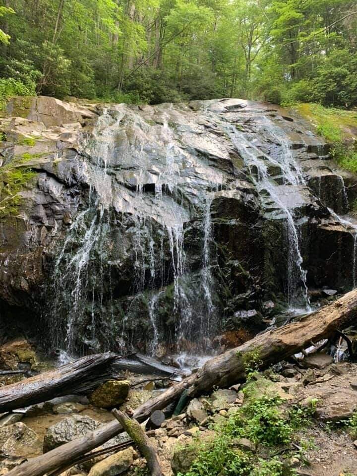 Lakeside Forest Wilderness Area