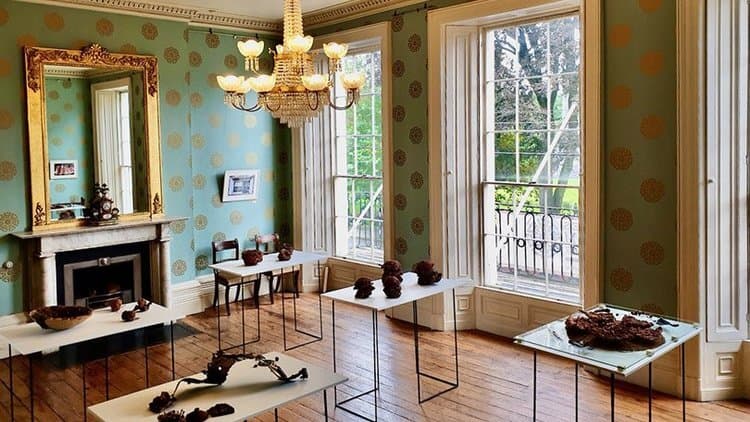 Our Blue Room gallery area