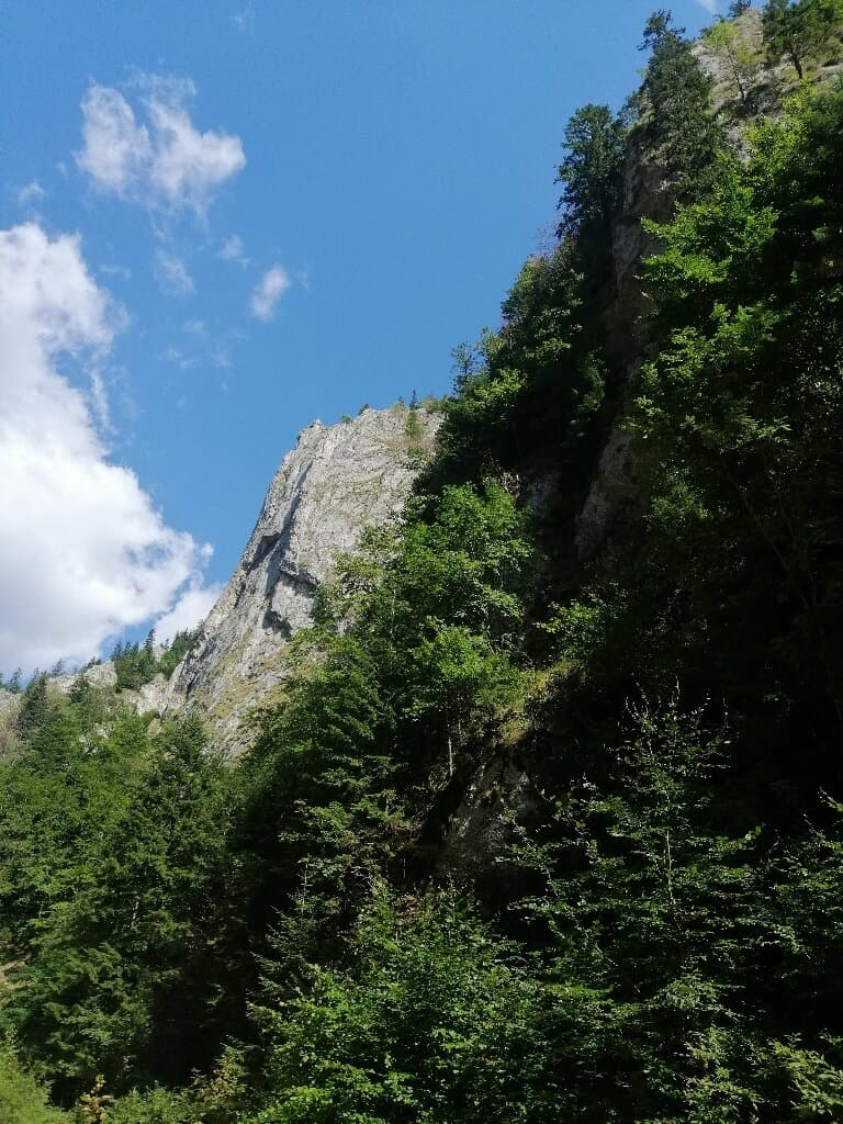 Zărnești Gorge (Prăpăstiile Zărneștilor)