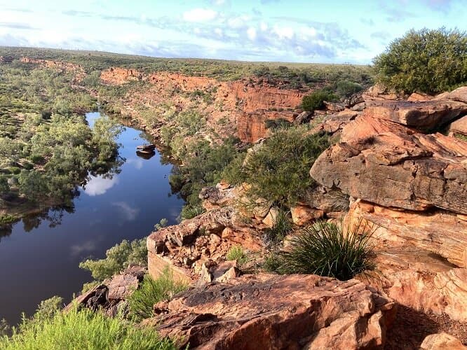 Hawk's Head
