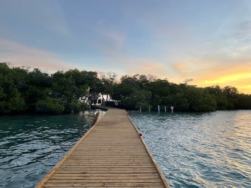 La Parguera Bioluminescent Bay Puerto Rico