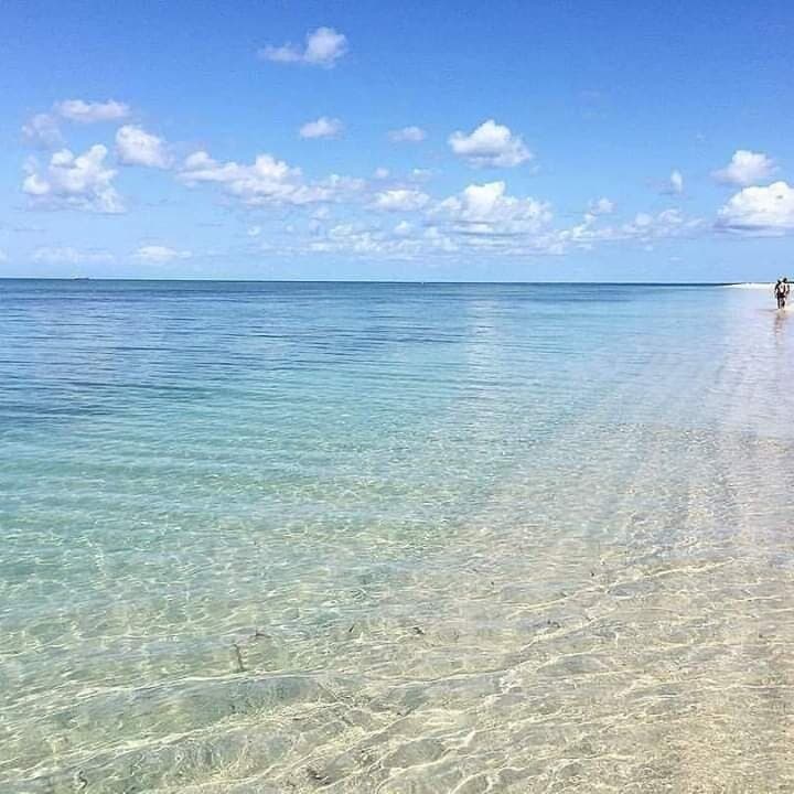 Isla de Enmedio