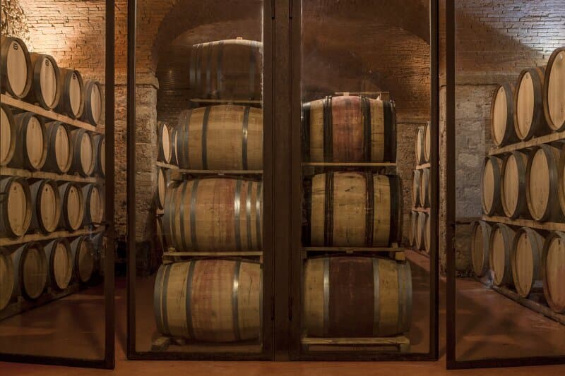 Barrels of the Winery Castello di Bolgheri