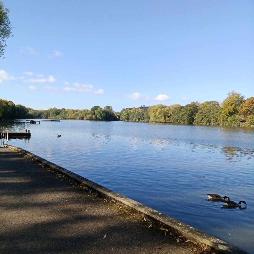 Langold Country Park