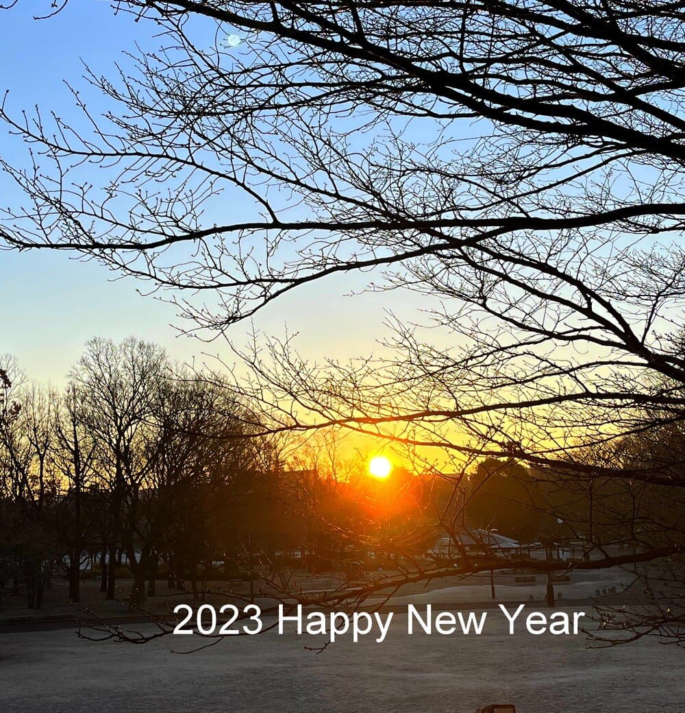 大泉中央公園からのSUN RISE!