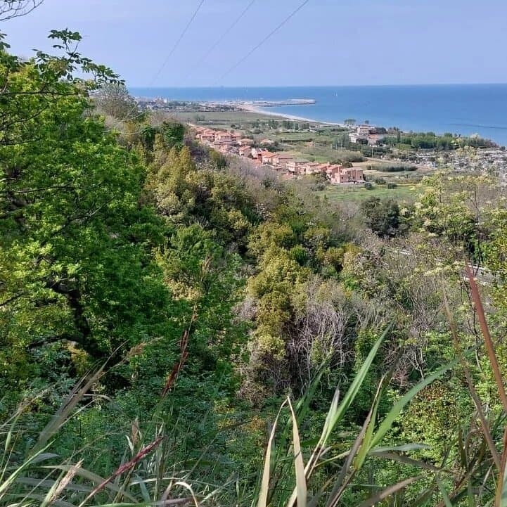 Bosco del Cugnolo
