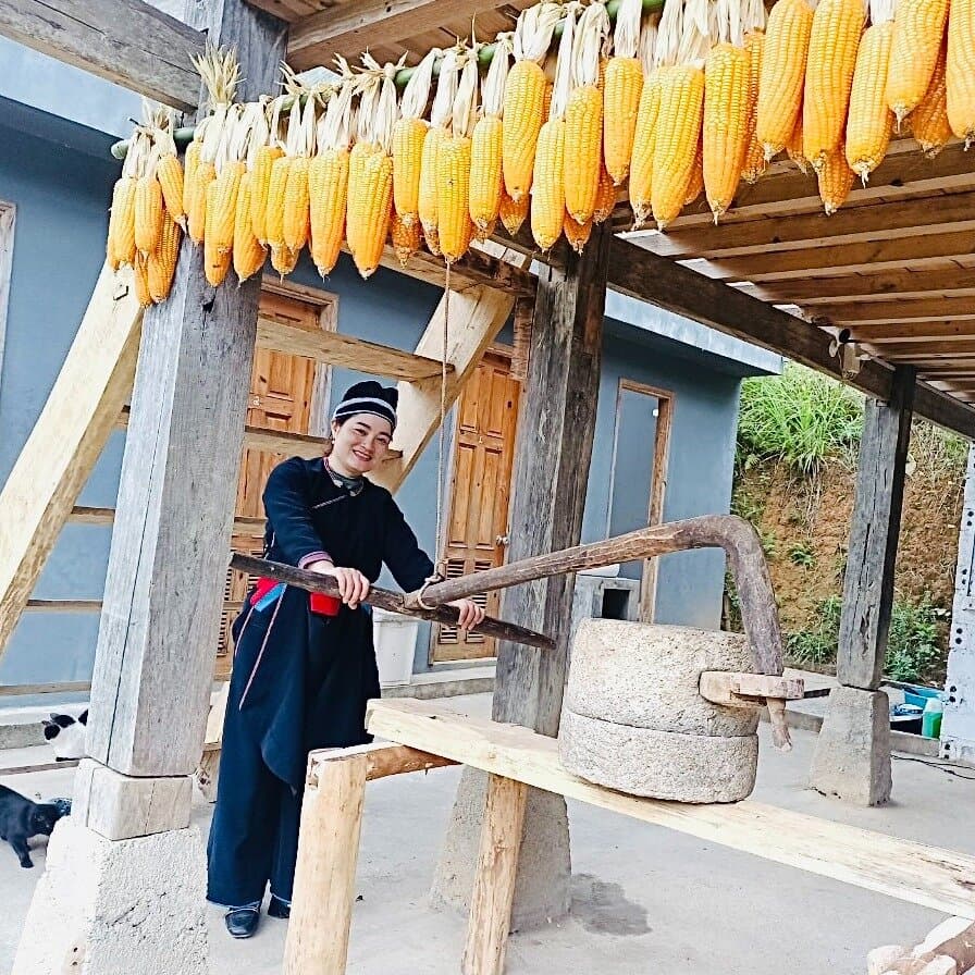 Ban Luoc Terraced Fields