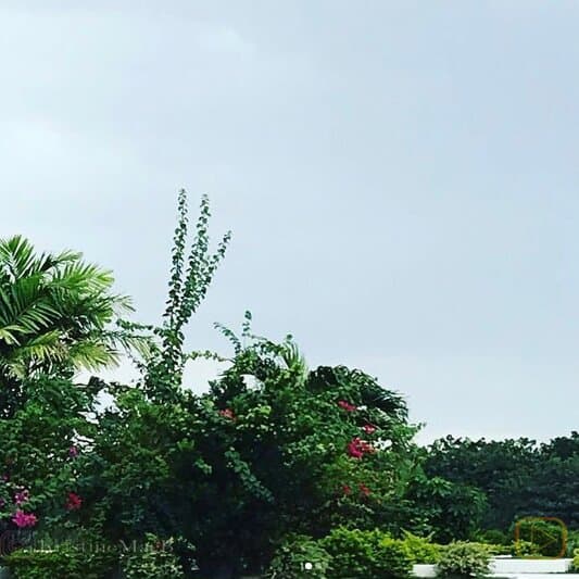 GSIS   | Instagram 📸 @kristinemaeb
