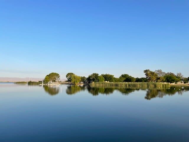 morning stillness