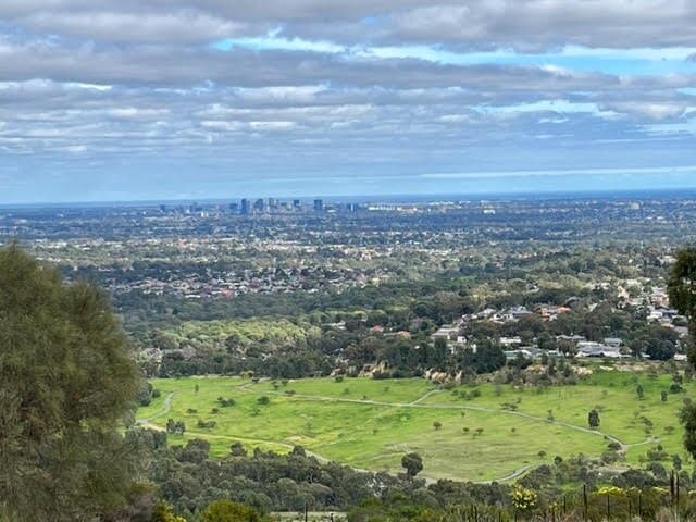 View from the top of the trail (Geological hike)