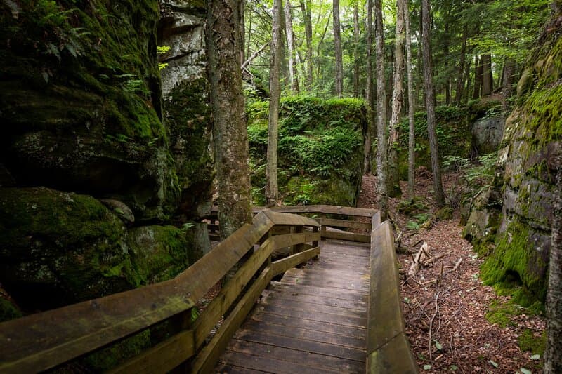trail