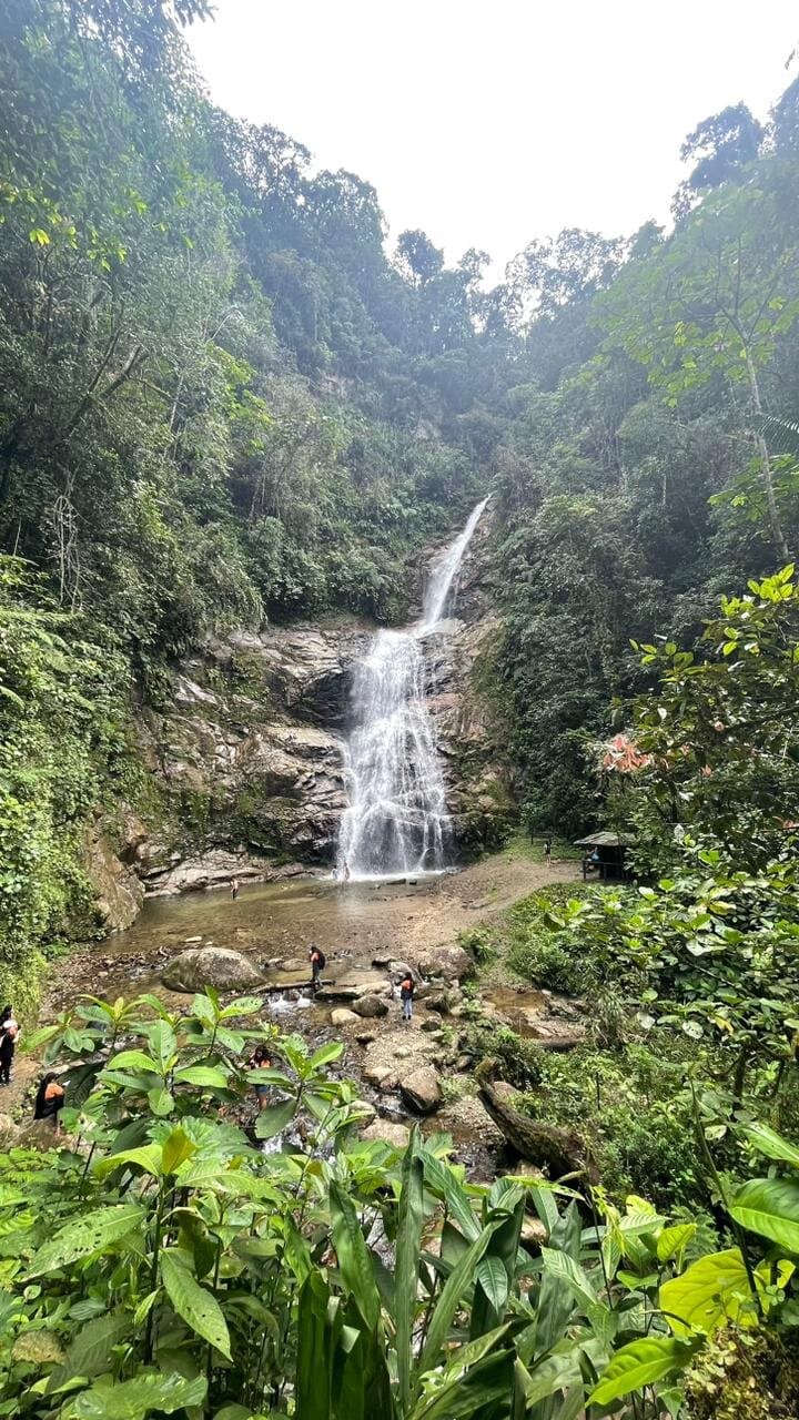 Podocarpus National Park Cajanuma