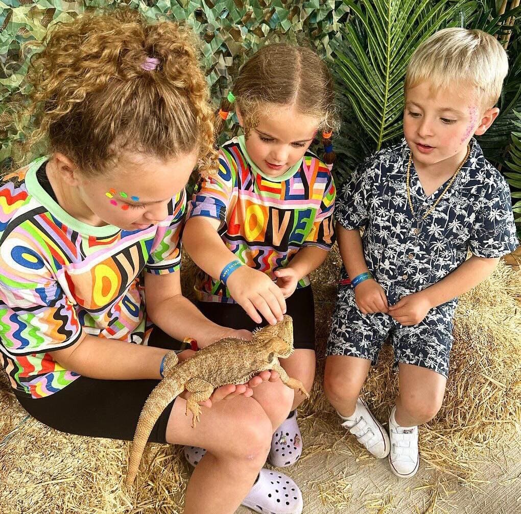 Animal encounters daily