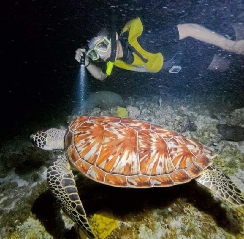 Marina punta norte. Pionero el señor javier en el rubro de los tours por la bahia de cancún, onfrciendo unos paisajes espectaculares, atencion de primera y embarcaciones en excelencia Todo toma un tono magico durante la noche en su tour nocturno de snorkel, disfrutando de unos tonos increibles y de la fauna variada que nos ofrece el caribe. Vivan la experiencia y pidan su paquete de fotos. Tambien tienen a los mejores fotografos.