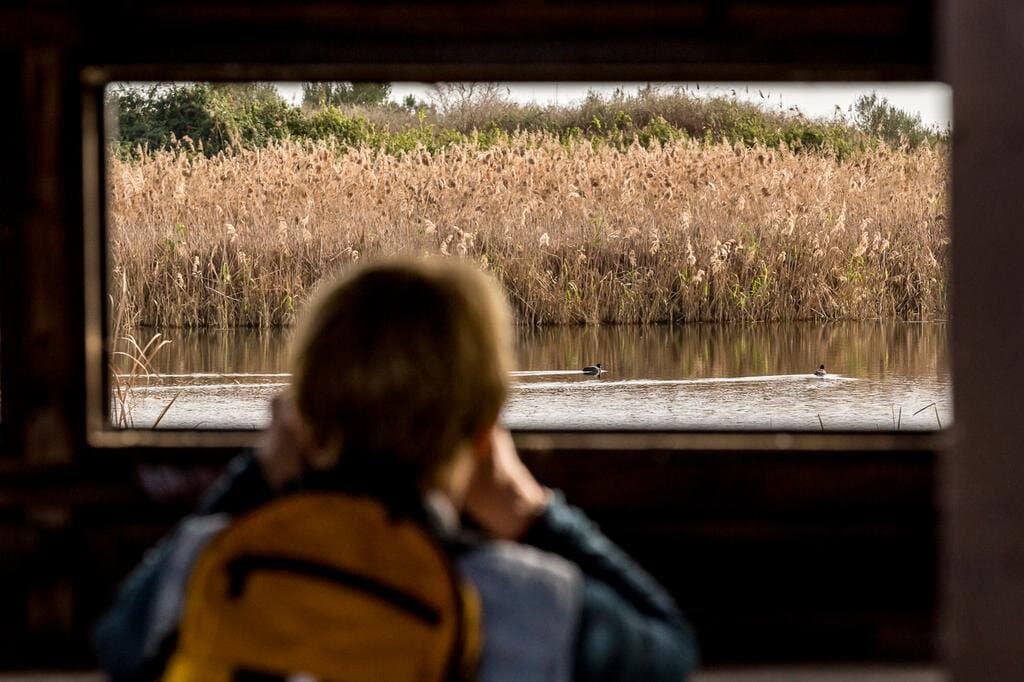 Parque Ambiental de Vilamoura