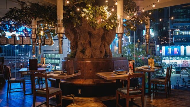 店内の中央には自然溢れる大木のオブジェがお出迎え。壁一面が窓ガラスとなっておりますので、渋谷の街並みを一望できます。ウッディなインテリアが彩るフォトジェニックな空間は解放感抜群!優雅でゆったりとした時間をお過ごしください。大木がそびえ立つ解放感ある片側ソファ席や、タイルレンガがお洒落なベンチソファ席など様々な席がございます。デートや女子会などにもおすすめです。