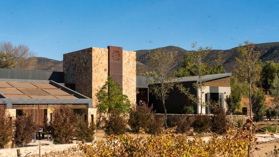 Celebrando 10 años: Bodegas Magoni