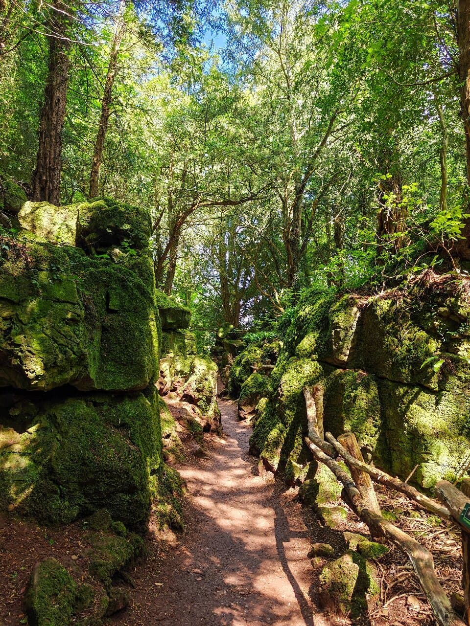 Puzzlewood