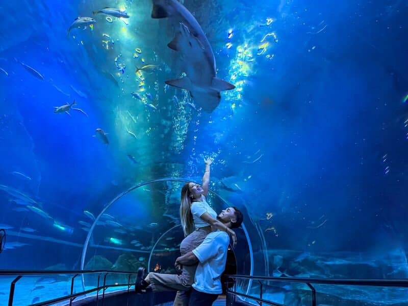 Casal no túnel do AquaRio