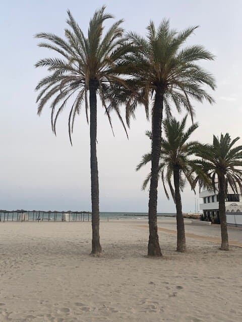 Playa Levante