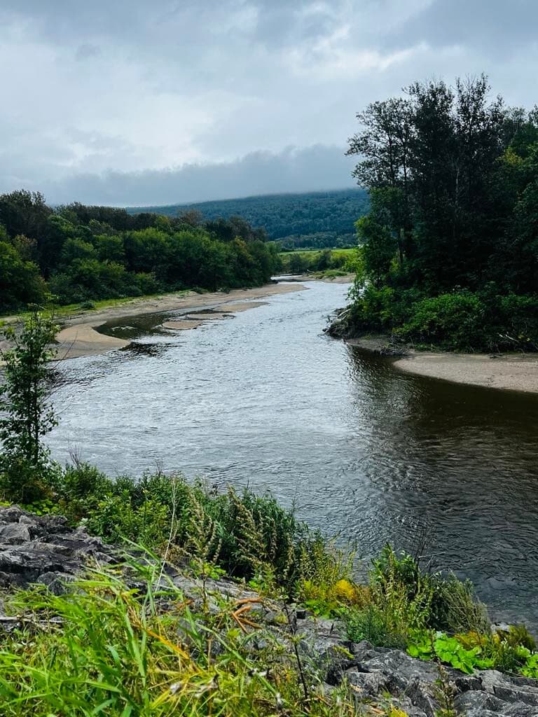 3.4 km easy hike in the park